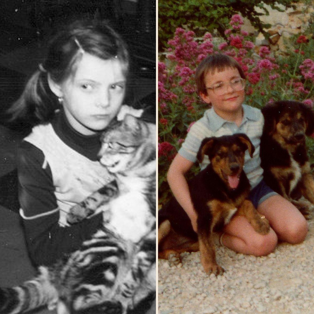 L'équipe SON pet