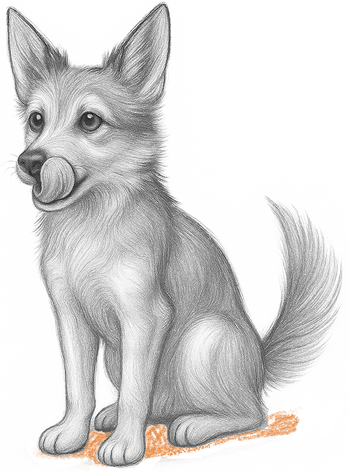 Petit chien