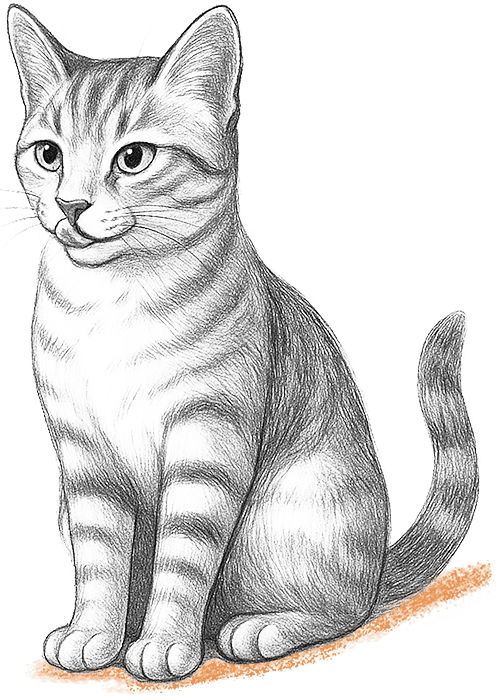 Chat